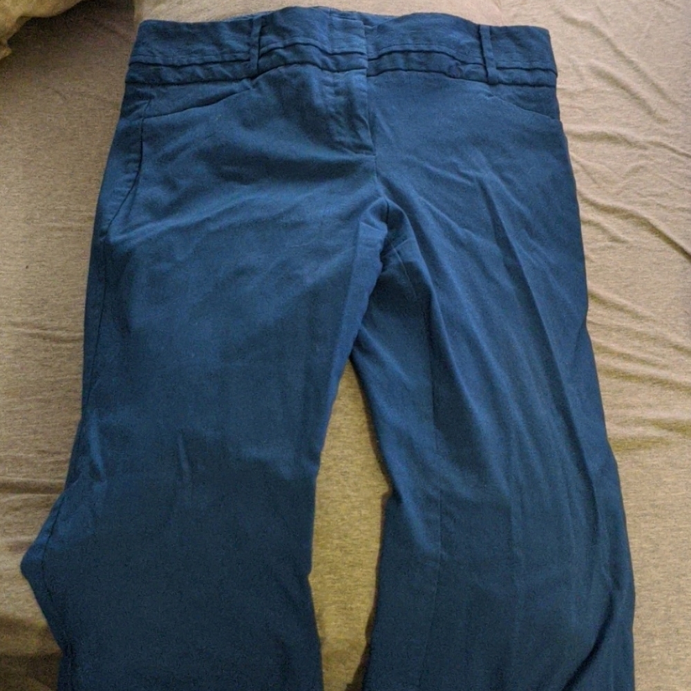 Dress pants